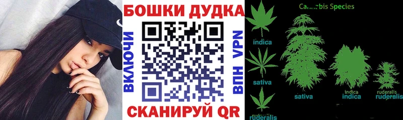 МАРИХУАНА OG Kush  Зуевка 